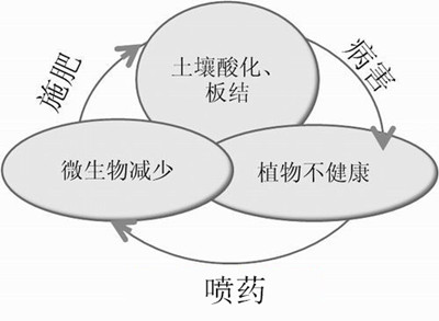 化肥不等于科學(xué)，請(qǐng)客觀評(píng)判！
